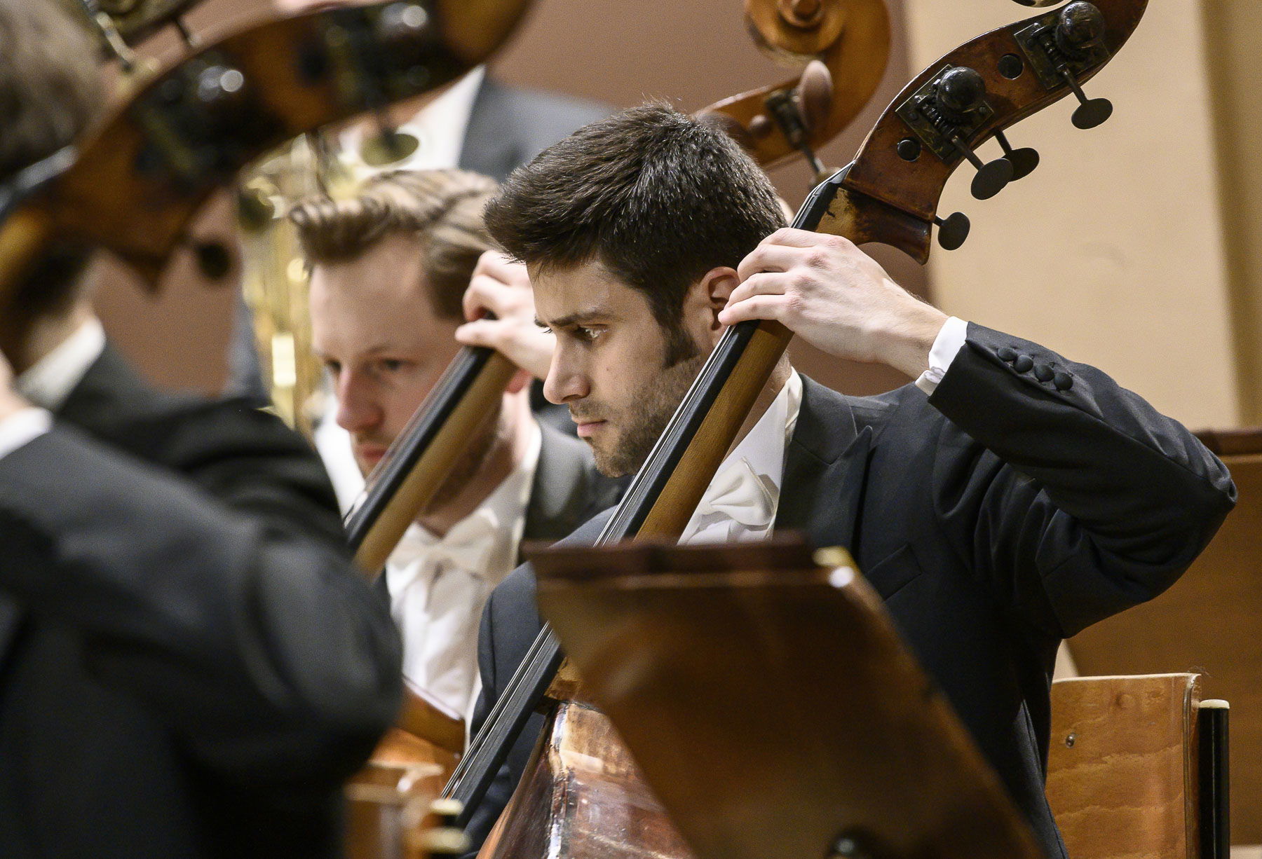 Alternativní text obrázku