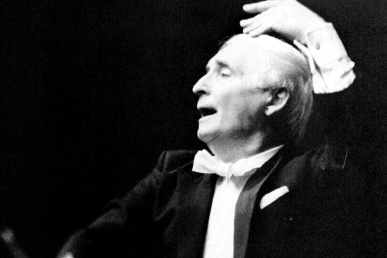 Obrázek neumann-gesto-02.jpg
