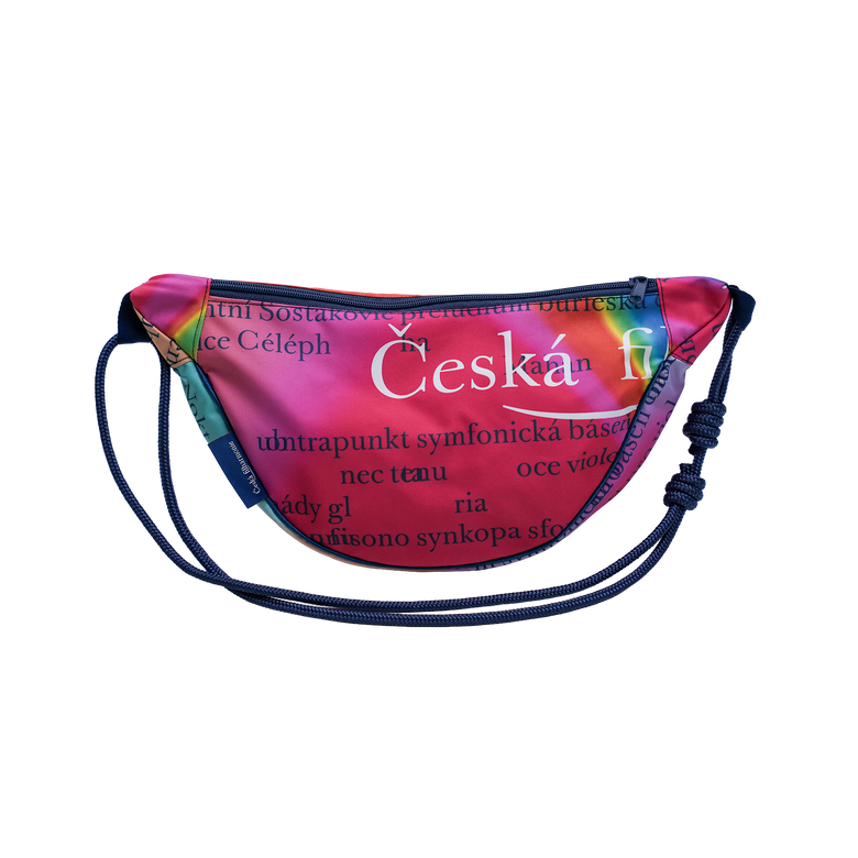 Fotografie ilustrujicí produkt Upcycled ledvinka Ligatura