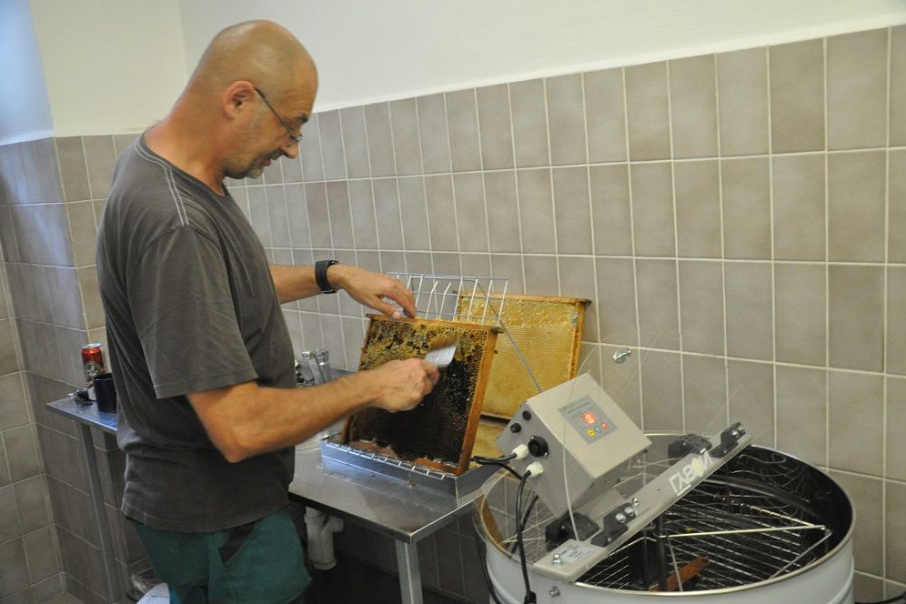 Víčka, složená zejména z vosku, musí dolů, aby mohl med dobře odtékat.