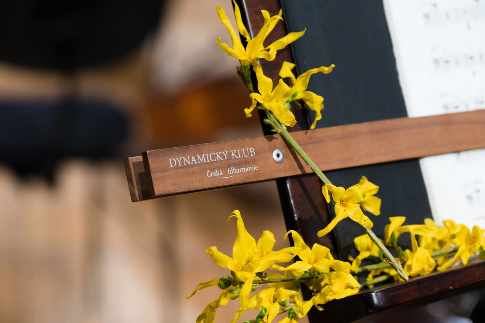 Image dynamicky_klub_jaro.jpg