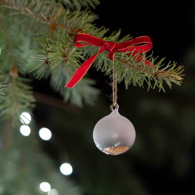 Image ozdoba-mesic.jpg