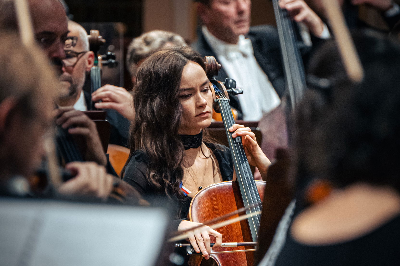 Image aneta_šudáková_251116213348_petr-chodura_-c-_koncert-pro-svobodu-a-demokracii_koncert_hr.jpg