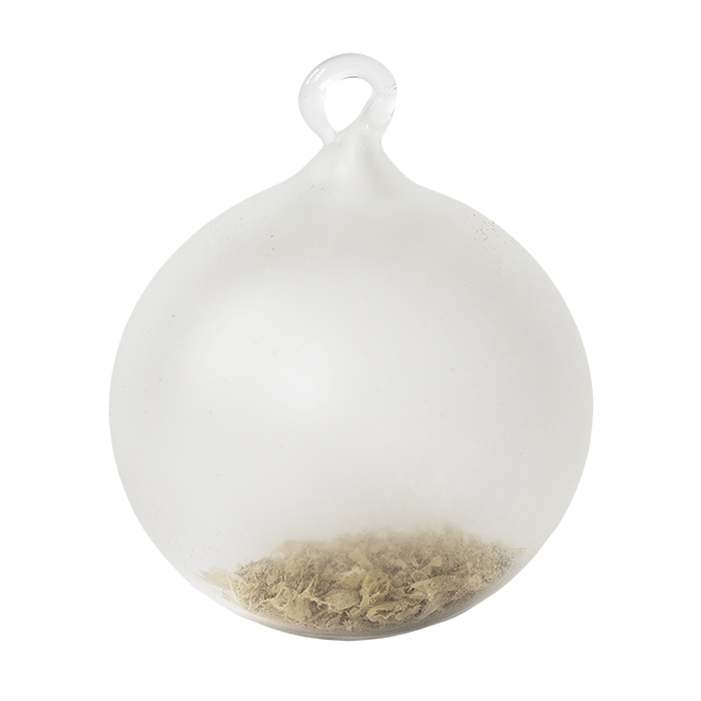 Fotografie ilustrujicí produkt Měsíc – skleněná baňka s pilinami z pódia Dvořákovy síně