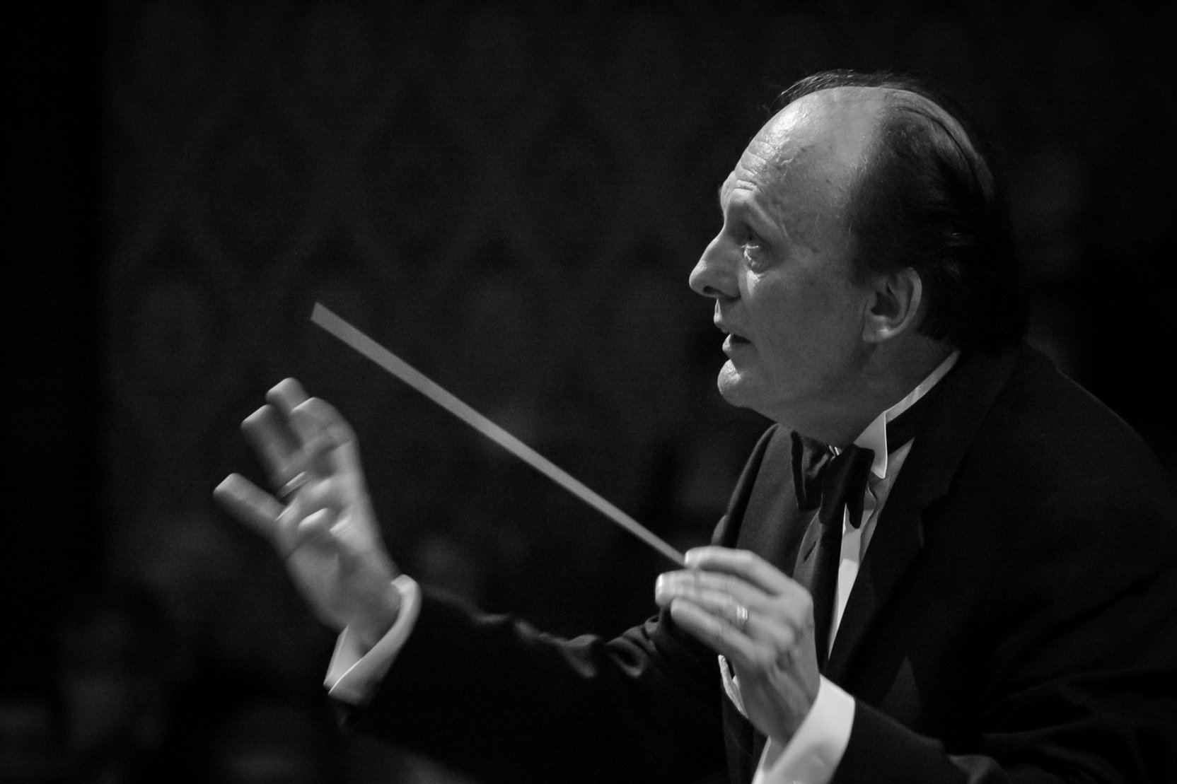 Image macal-zdenek-8-21.jpg