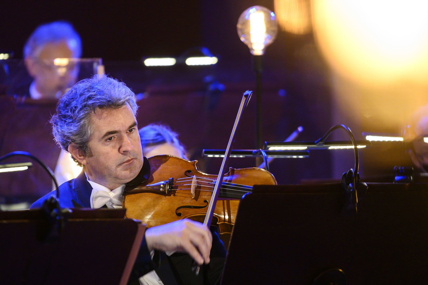 Alternativní text obrázku