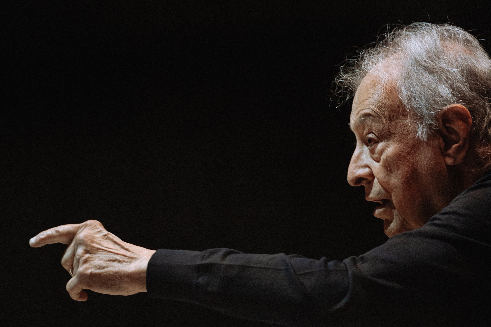 Karolína Pancernaite