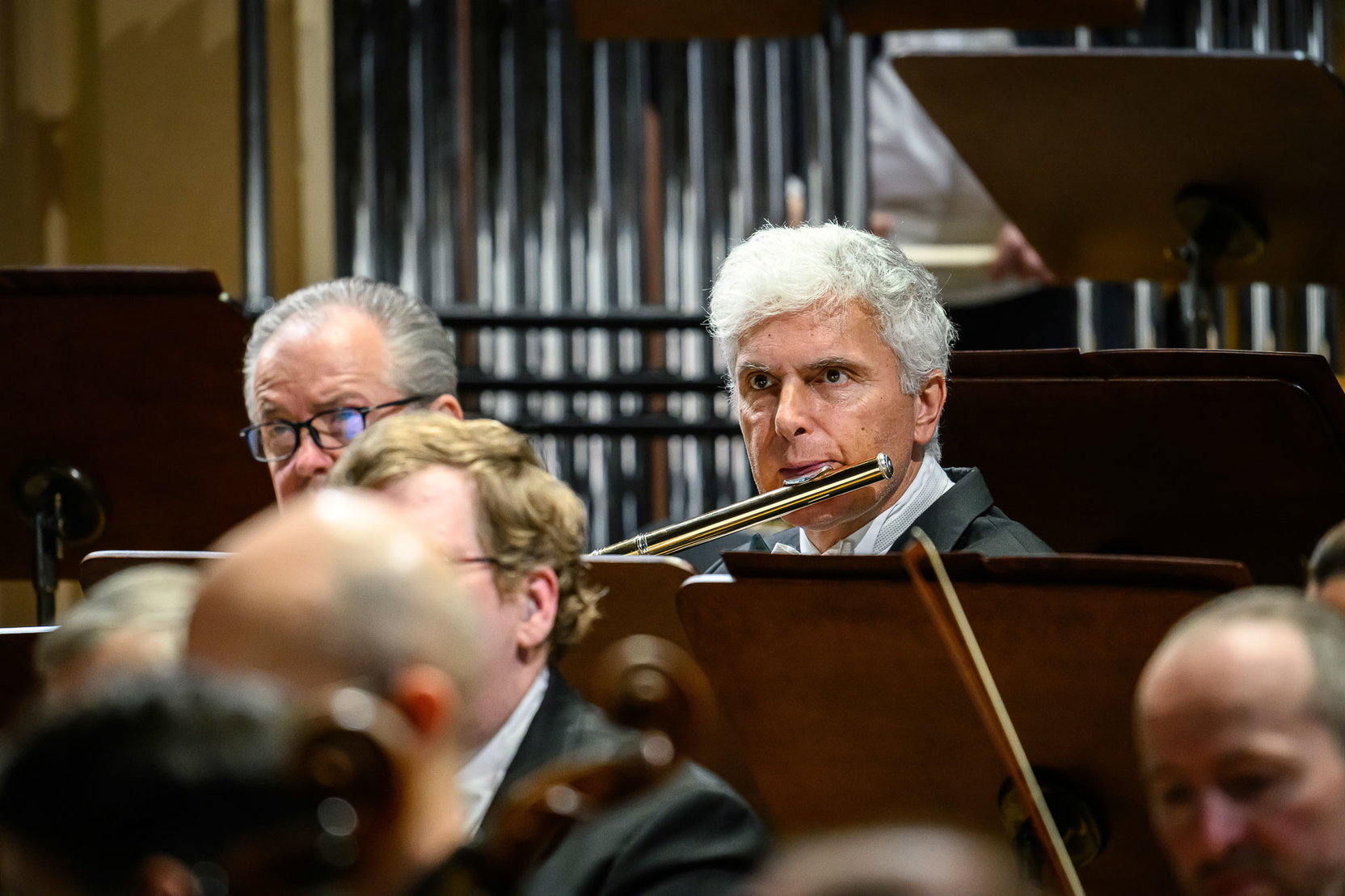 Obrázek 251203_cf_ades_koncert_wr_30_-petra-hajska.jpg