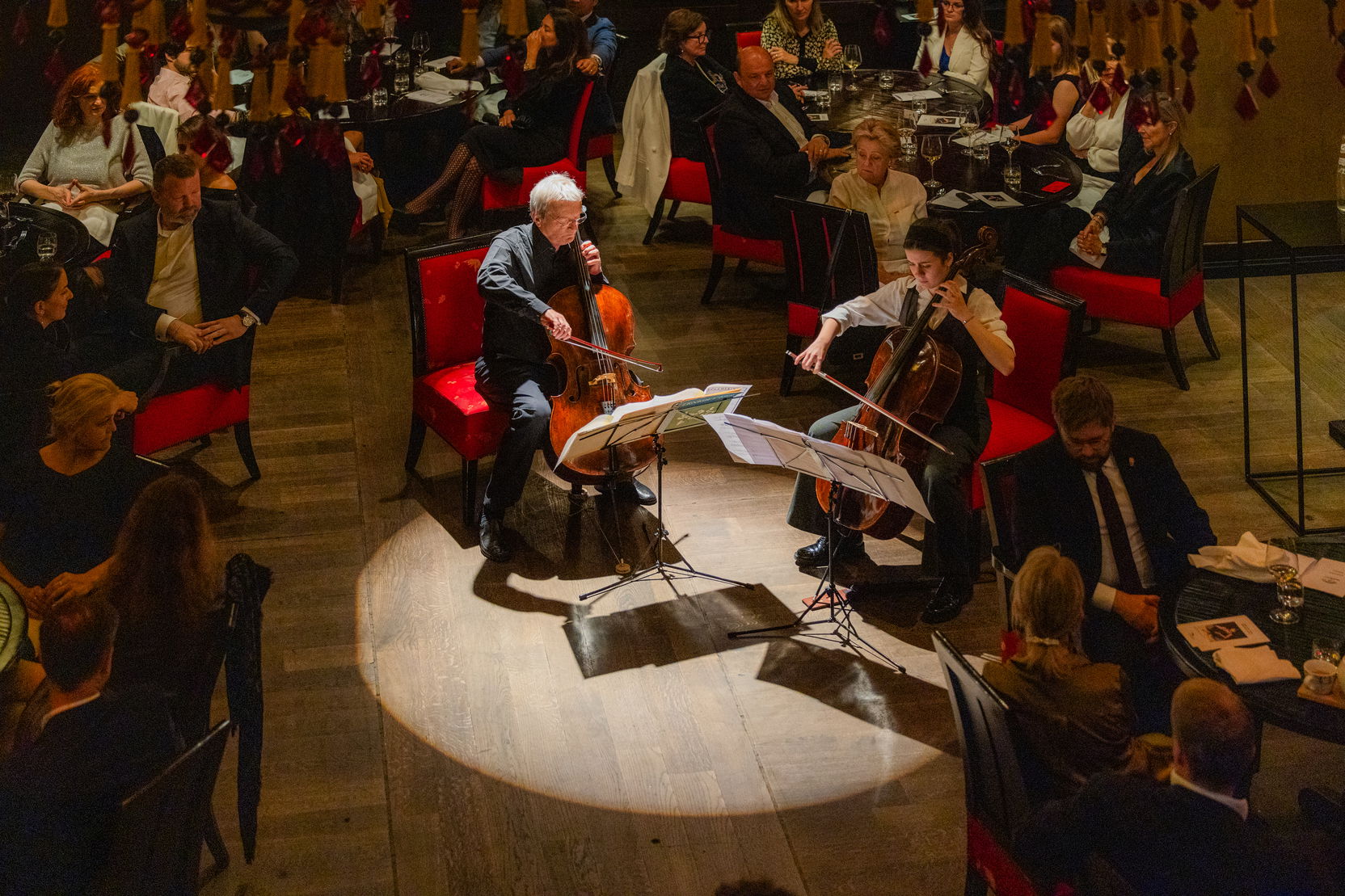 Obrázek 2-foto-hrají-dvě-violoncella-na-večeři.jpg