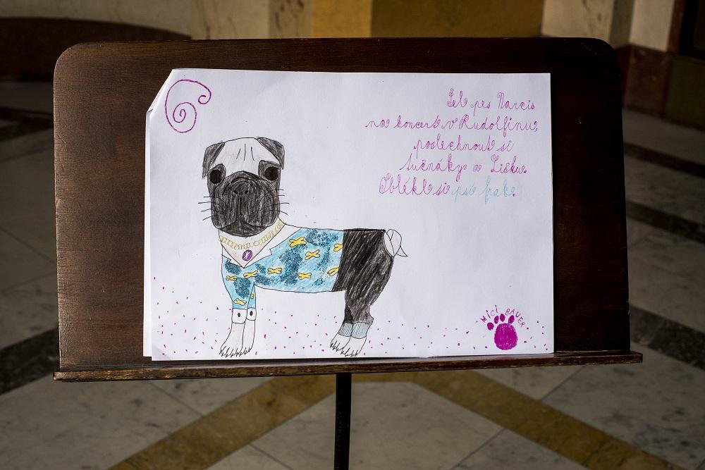 Mici Bauer, 9&nbsp;let