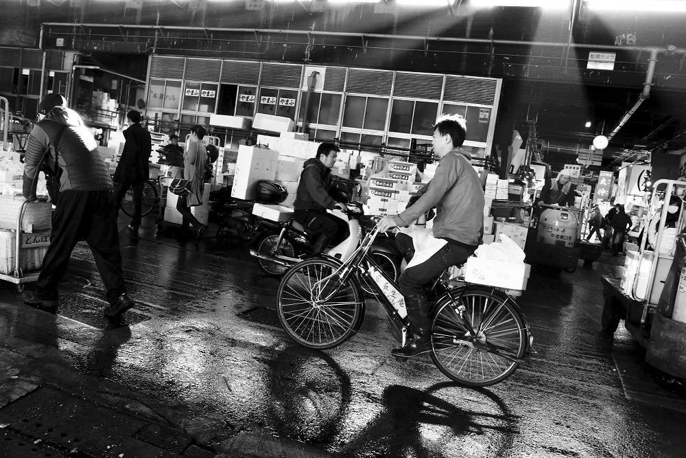 A morning at Tokyo's world-famous Tsukiji Fish Market