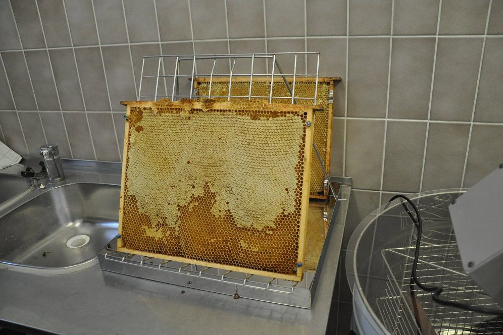Plástve už netrpělivě čekají na odvíčkování.