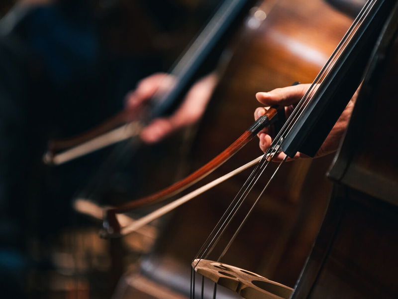 Ilustrační obrázek článku 'Audition for the position of 2nd Associate Principal Double Bass'