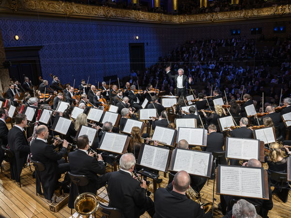 Ilustrační obrázek článku 'Christmas offer of the Czech Philharmonic'