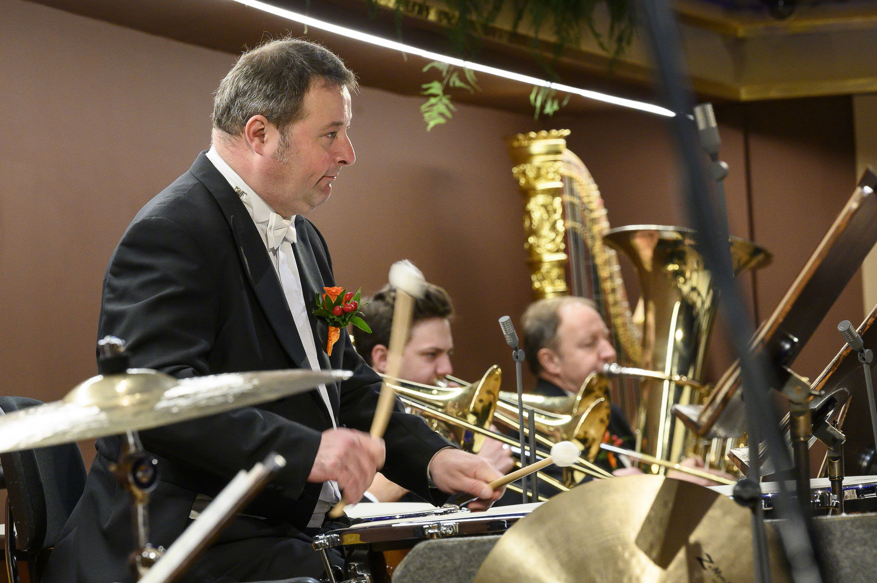 Alternativní text obrázku