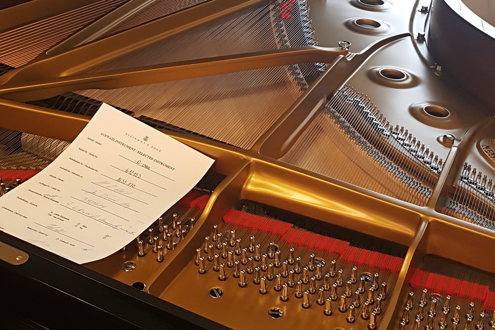 Steinway &amp; Sons, nová perla v nástrojovém parku Rudolfina