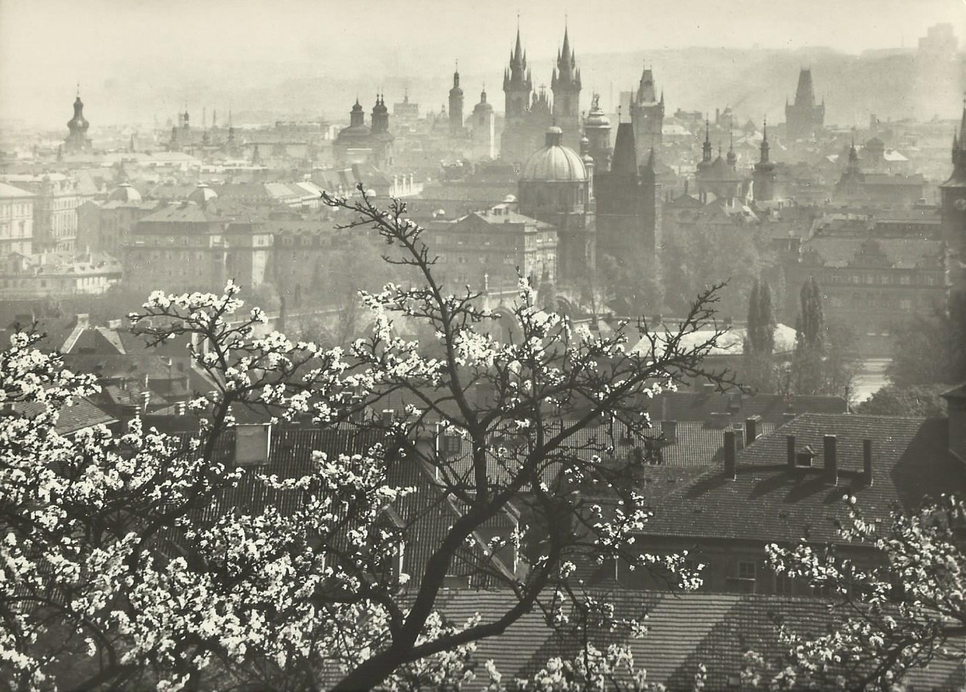 Obrázek sudek-pohled-ze-seminarske-zahrady-1962.jpg