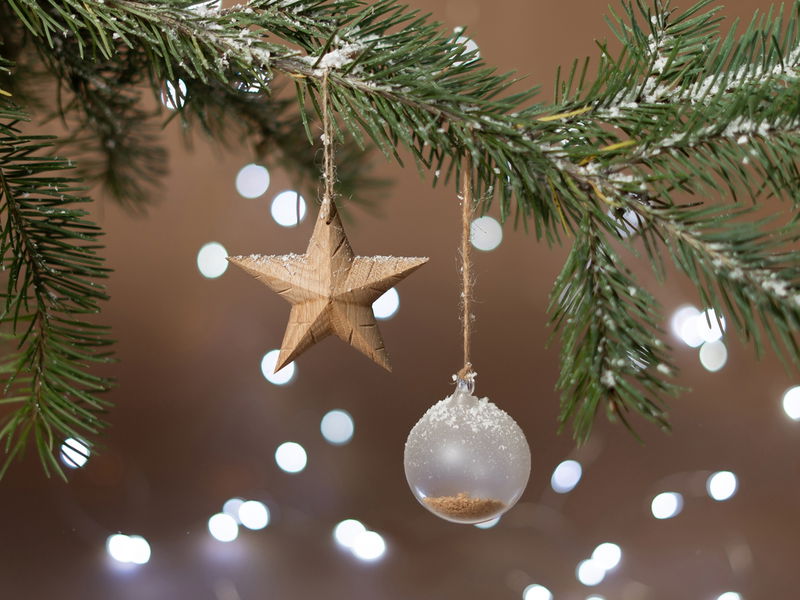 Ilustrační obrázek článku 'Christmas Gifts from the Rudolfinum'