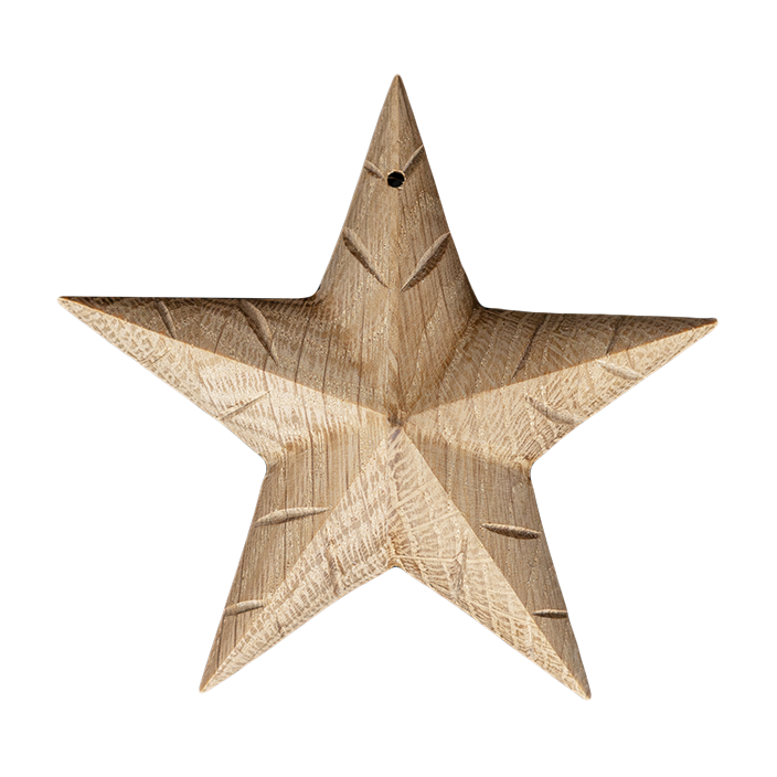 Denice – hvězda z pódia Dvořákovy síně