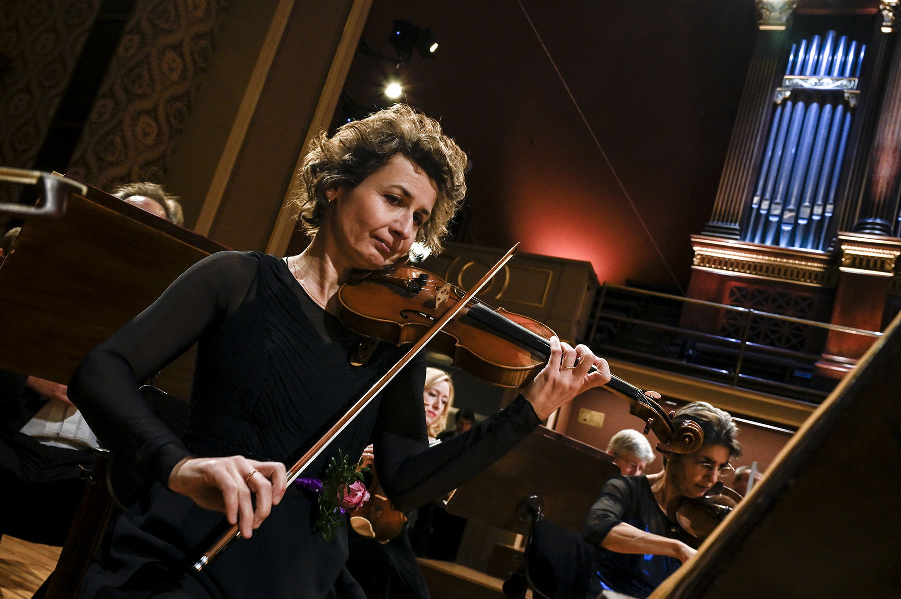 Alternativní text obrázku