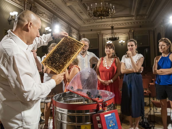 Ilustrační obrázek článku 'Traditional honey harvest in the Rudolfinum&nbsp;'