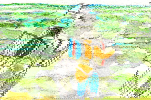  Israel in Egypt Collegium 1704