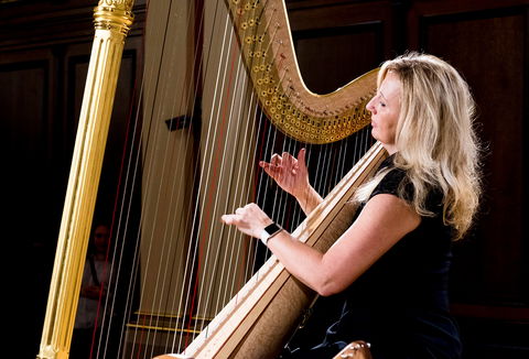 Photo illustrating a concert - event The Little Rudolfinum Playful Harp