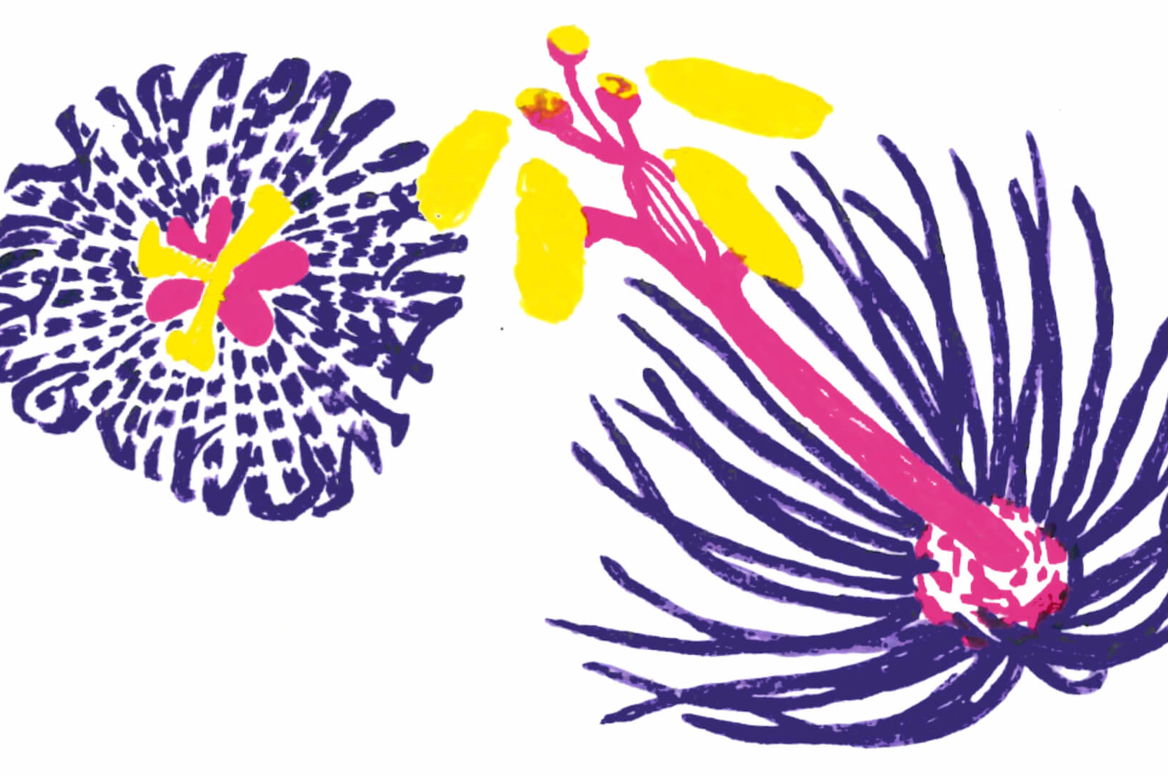  Gesu al Calvario Collegium 1704