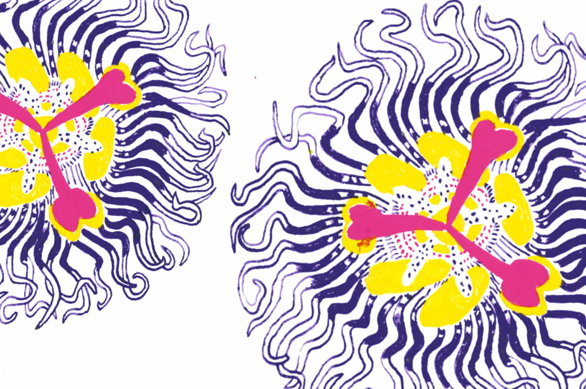  Royal Firework Collegium 1704