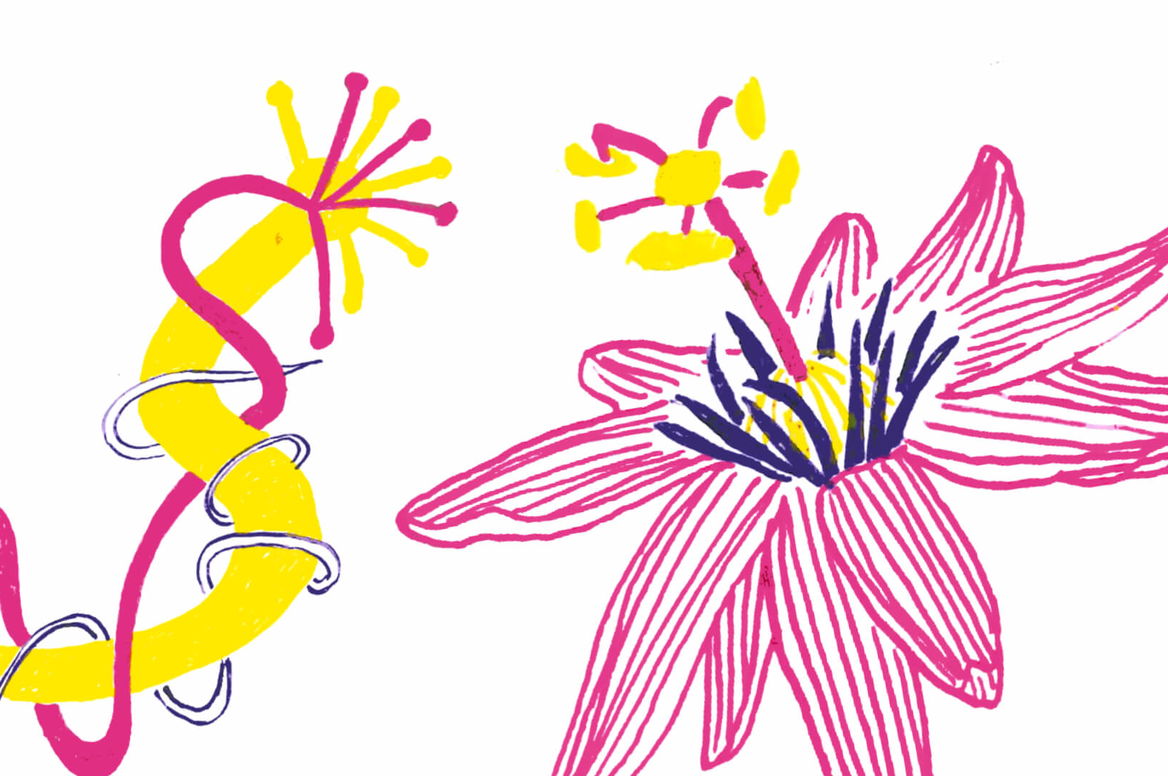  Abramo ed Isacco Collegium 1704