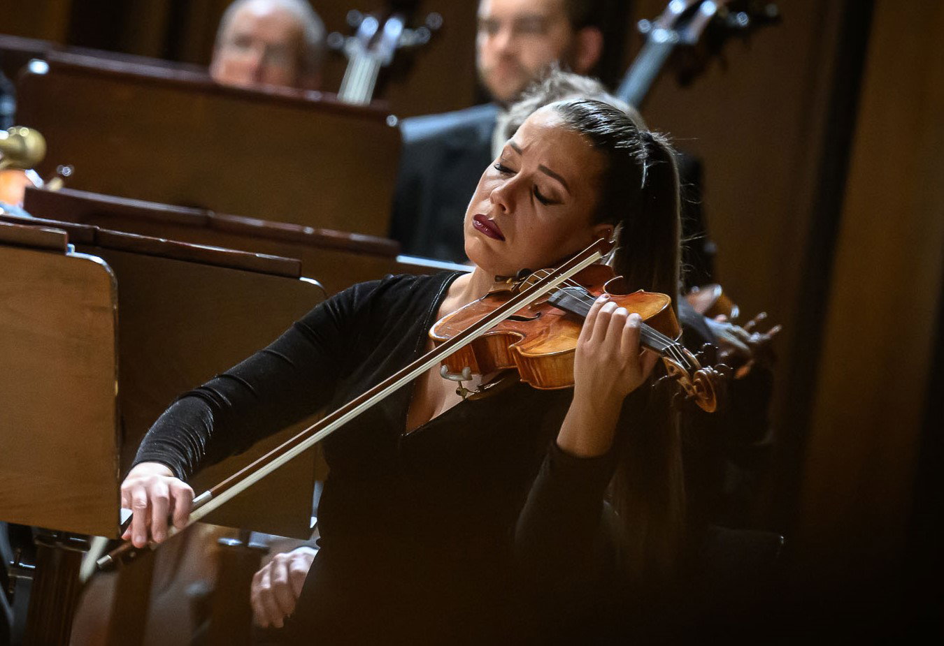 Fotografie ilustrujicí koncert - událost Rudolfinum Consort Český spolek pro komorní hudbu