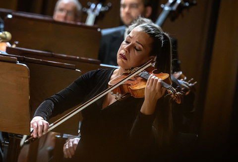 Fotografie ilustrujicí koncert - událost Český spolek pro komorní hudbu Rudolfinum Consort