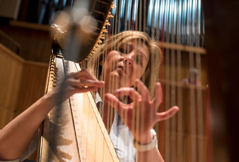 Photo illustrating a concert - event My Harp Country with Jana Boušková 