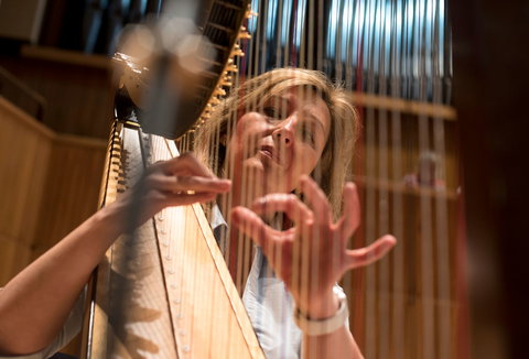 Photo illustrating a concert - event My Harp Country with Jana Boušková