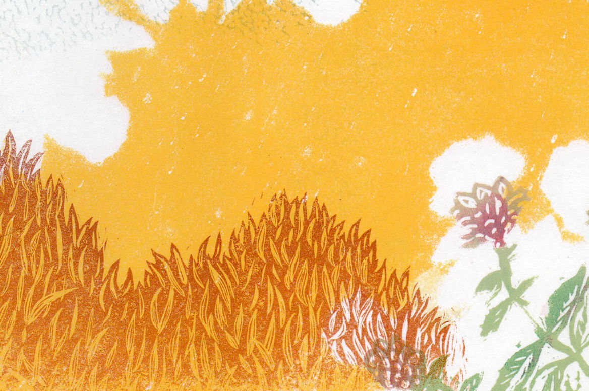  Il Polifemo Collegium 1704