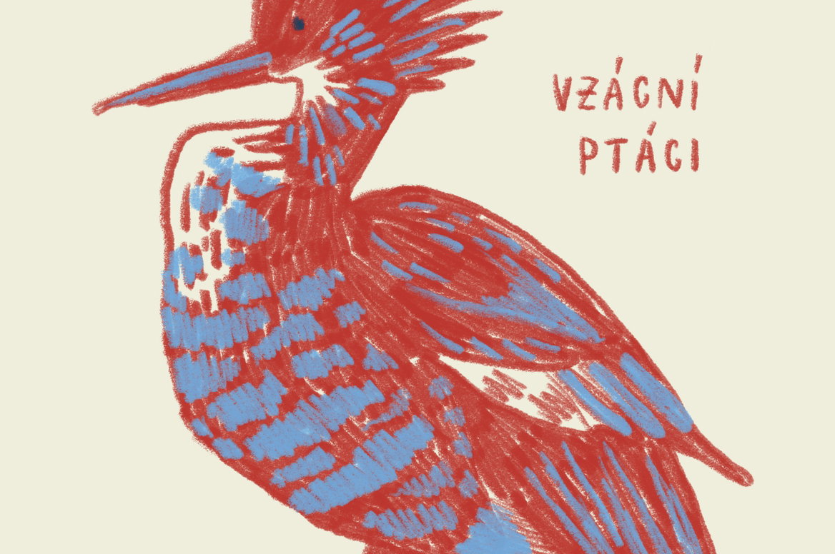  Vzácní ptáci –⁠⁠⁠⁠⁠⁠ nedělní Ateliérovka pro děti | Crested/mâcistan