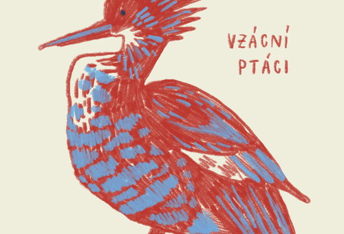 Fotografie ilustrujicí koncert - událost  Vzácní ptáci –⁠⁠⁠⁠⁠⁠ nedělní Ateliérovka pro děti | Crested/mâcistan