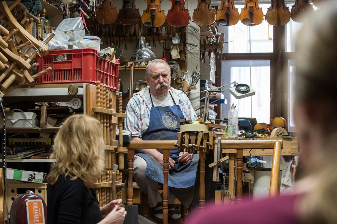 The Violin Menagerie