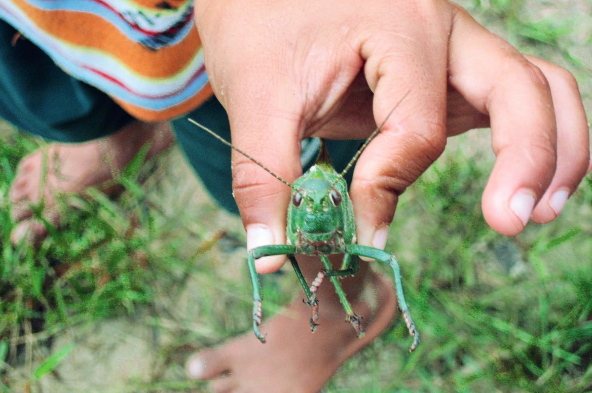  fragilités Vernisáž výstavy