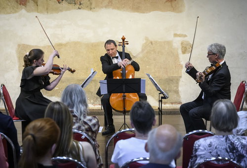 Photo illustrating a concert - event  Ode to Napoleon