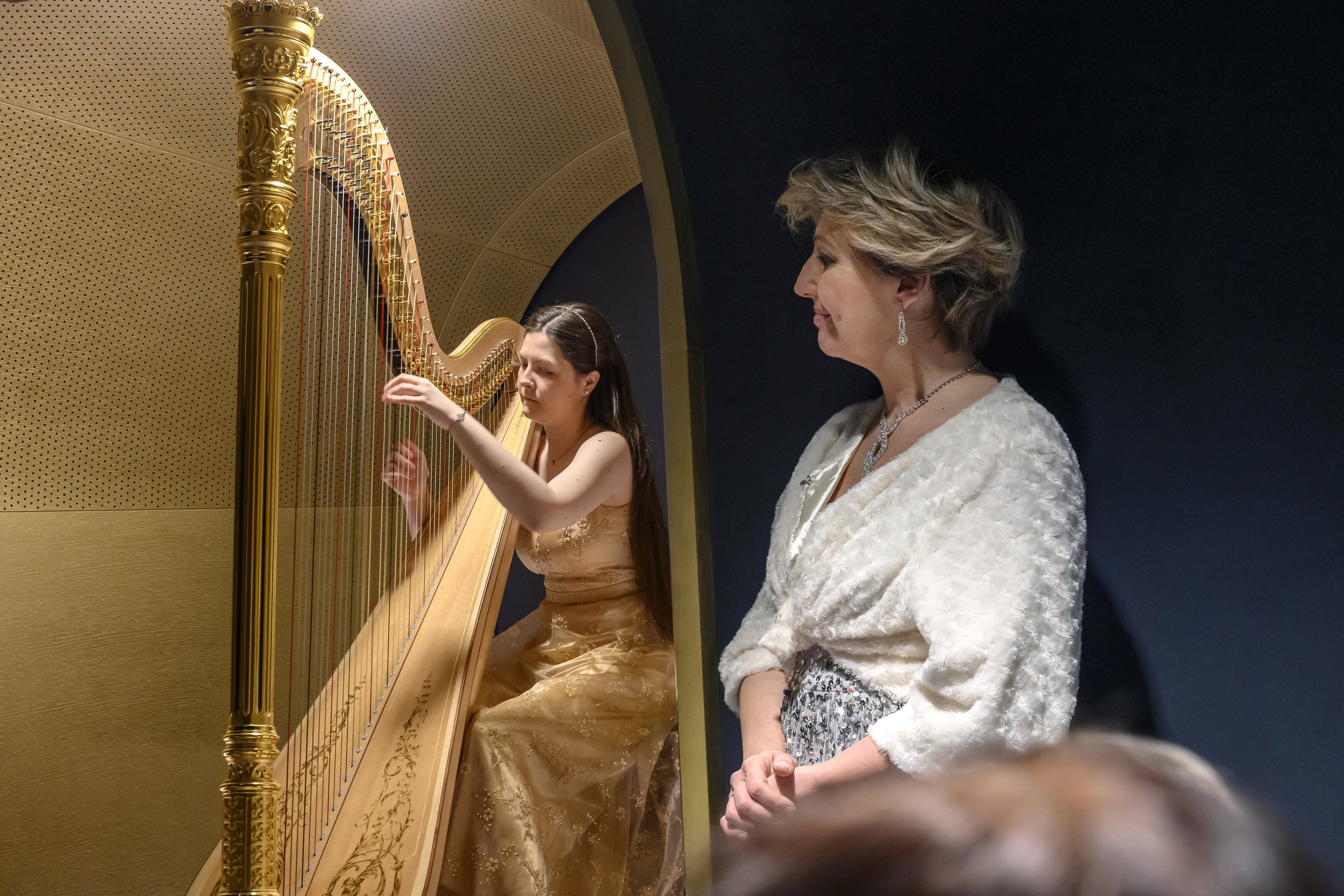 Fotografie ilustrujicí koncert - událost  Hravá harfa