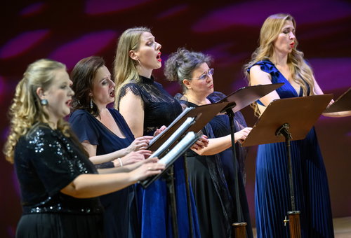 Photo illustrating a concert - event Collegium 1704 Missa Votiva