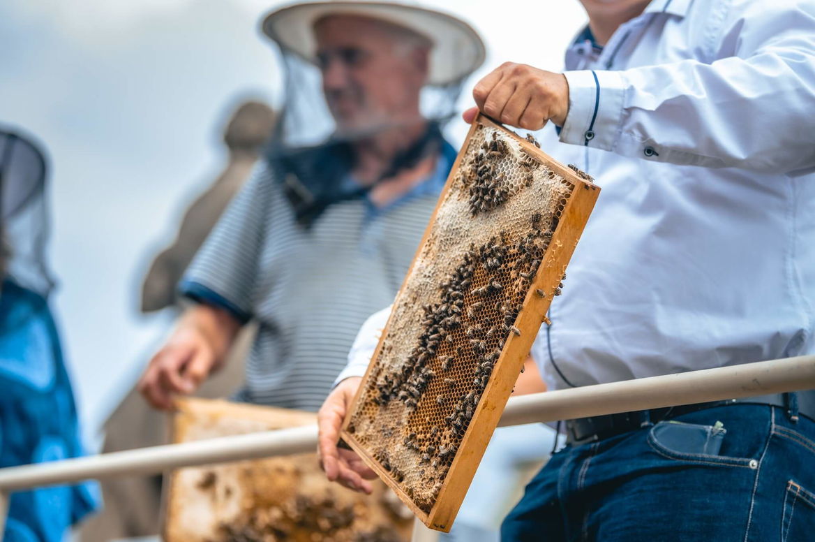  Ambrose Songs 10th Jubilee Year