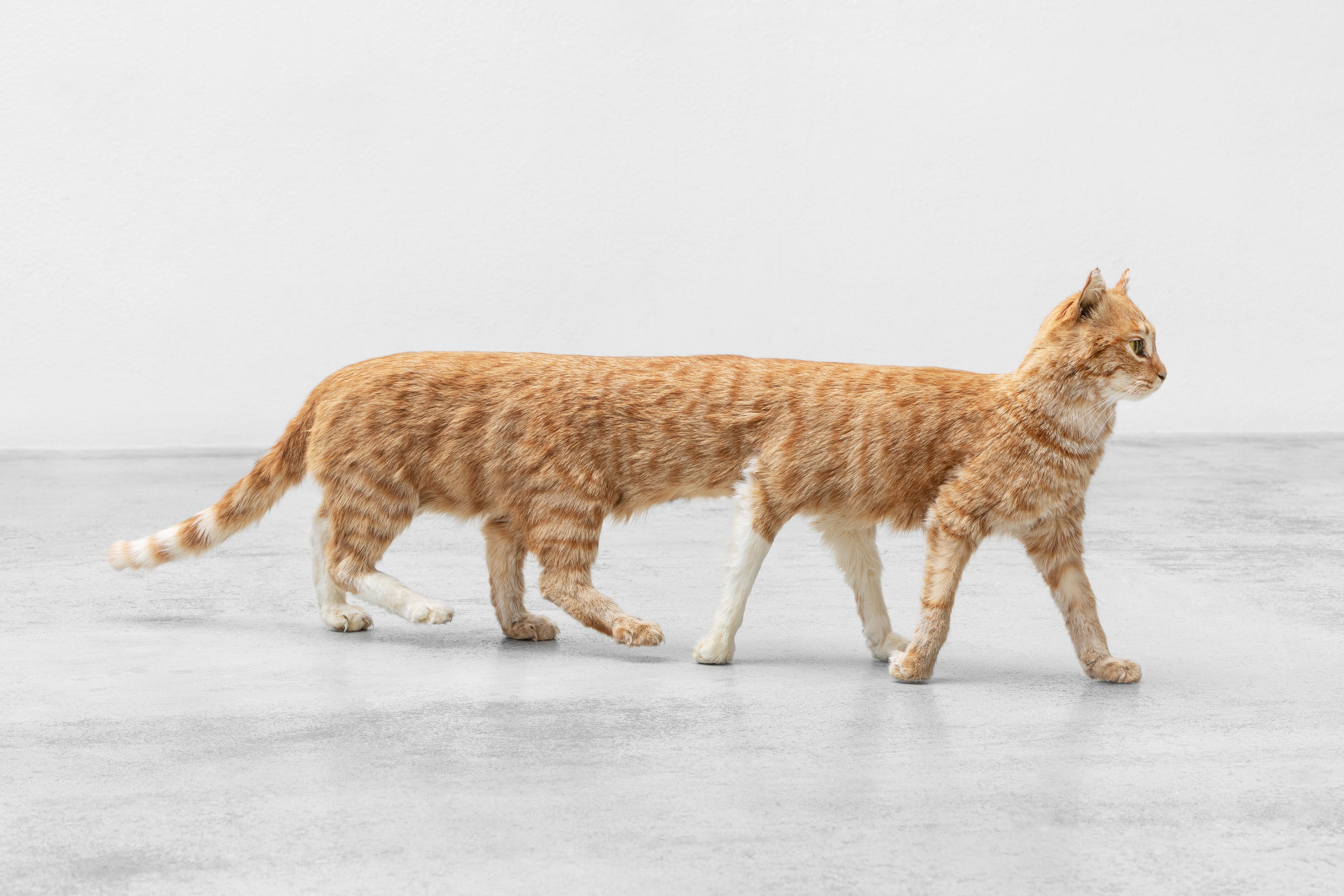  Poetics of Encryption