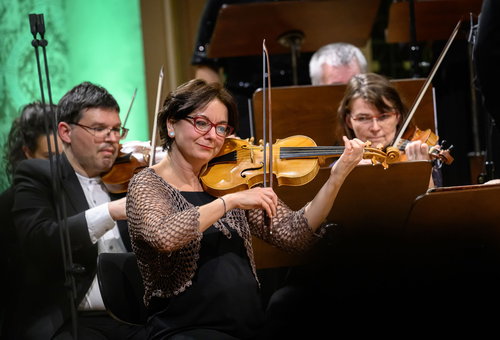 Photo illustrating a concert - event Collegium 1704 Missa Dei Filii