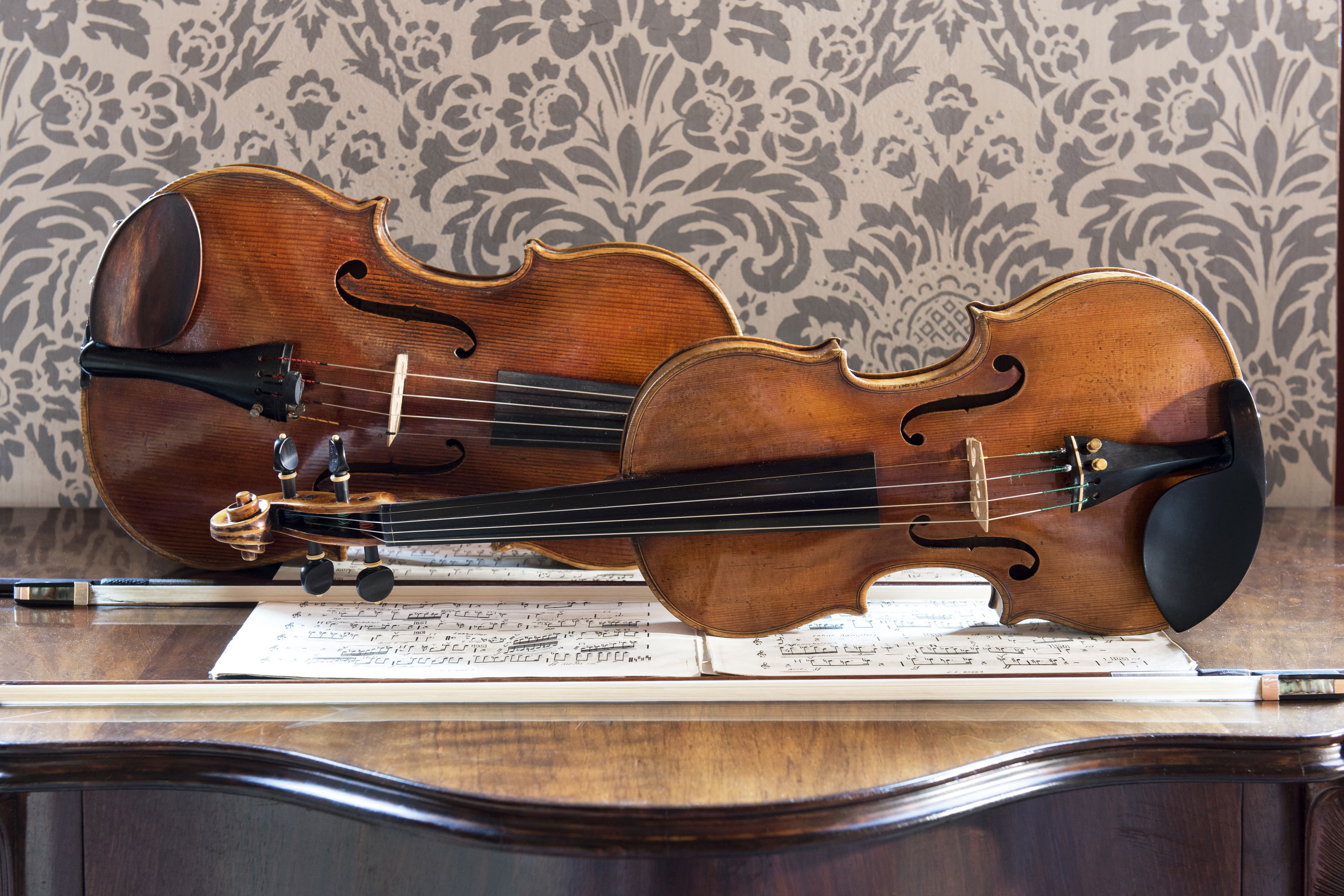 Obrázek housle_viola_1_-c-_petra-hajska.jpg