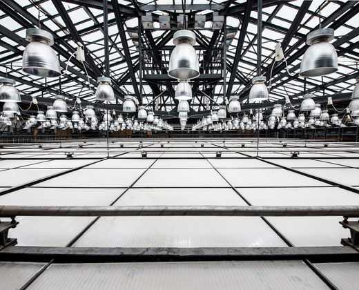 V Rudolfinu se snoubí novorenesanční krása s moderními technologiemi