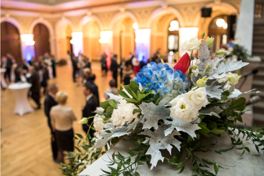 Víme, co Rudolfinu sluší