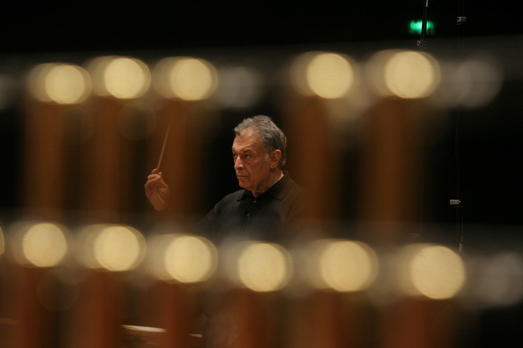 Obrázek zubin-mehta-oded-antman.jpg